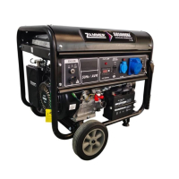 Бензиновый генератор Zammer S8500CXE для дома фото