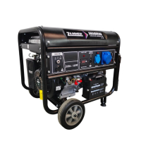 Бензиновый генератор Zammer S6500CXE для дачи фото