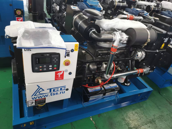 Дизельный генератор ТСС АД-60С-Т400 025395 промышленный фото