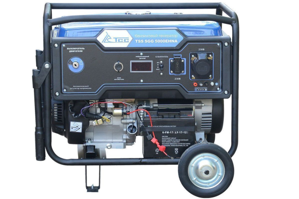 Бензиновый генератор ТСС SGG 5000EHNA портативный фото