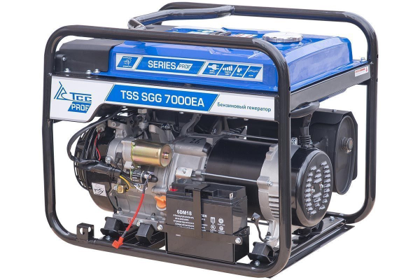 Бензиновый генератор ТСС SGG 7000E3A с в кожухе МК-1.1 для газового котла Бензиновый генератор ТСС SGG 7000E3A с в кожухе МК-1.1 для газового котла фото