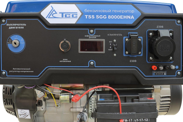 Бензиновый генератор ТСС SGG 8000EHNA в кожухе МК-1.1 портативный фото