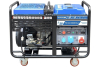 Бензиновый генератор ТСС SGG 18000EH3LA фото