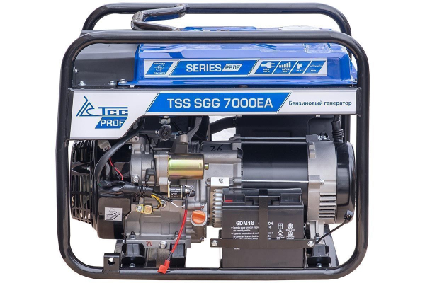 Бензиновый генератор ТСС SGG 7000EA 033523
 для газового котла Бензиновый генератор ТСС SGG 7000EA 033523
 для газового котла фото