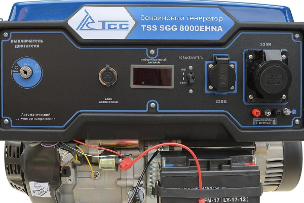 Бензиновый генератор ТСС SGG 8000EHNA в кожухе МК-1.1 для гаража фото